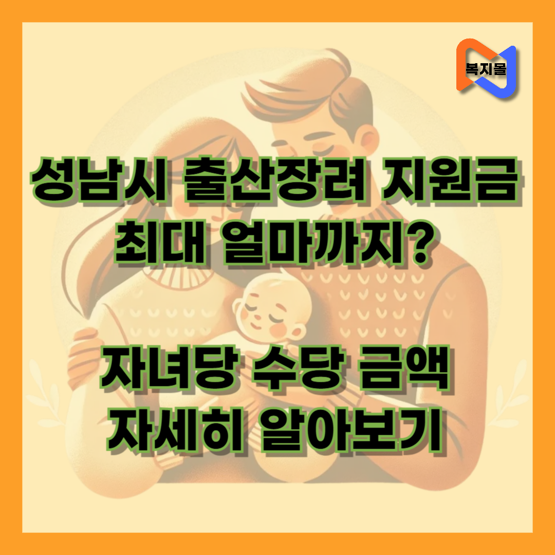 성남시 출산장려 지원금